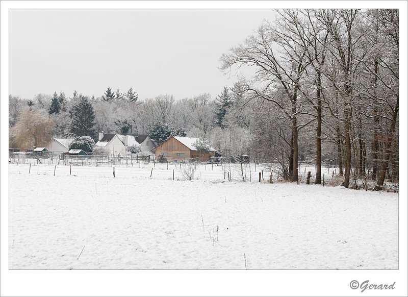 Verkensbos 8.jpg - Verkensbos